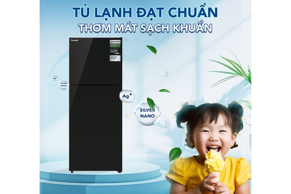 Tủ Lạnh Funiki Inverter 209 Lít HR-T8209GB