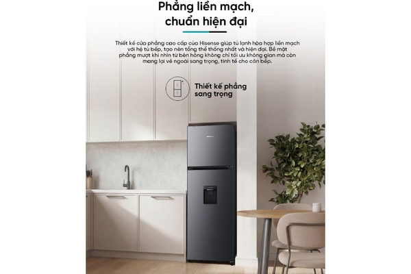 Tủ lạnh Hisense Inverter 251 lít RT251N3AS