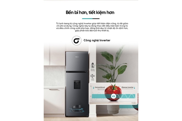 Tủ lạnh Hisense Inverter 251 lít RT251N3AS