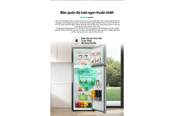 Tủ lạnh Hisense Inverter 251 lít RT251N3AS