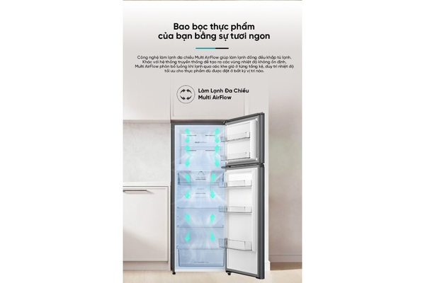 Tủ lạnh Hisense Inverter 251 lít RT251N3AS