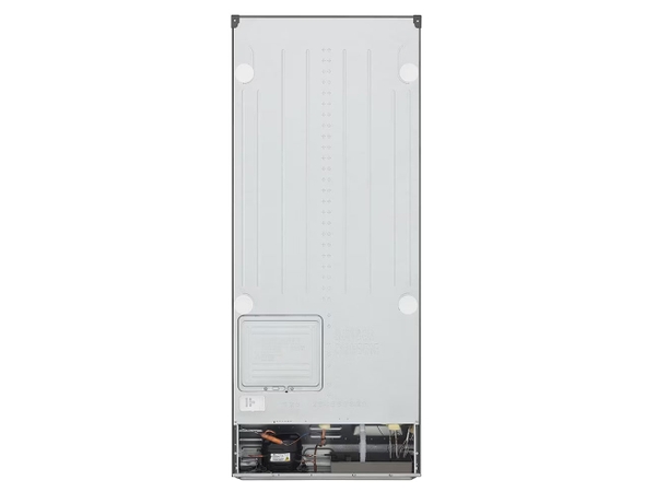 Tủ lạnh LG Inverter 395 lít GN-B392DS - ảnh 3