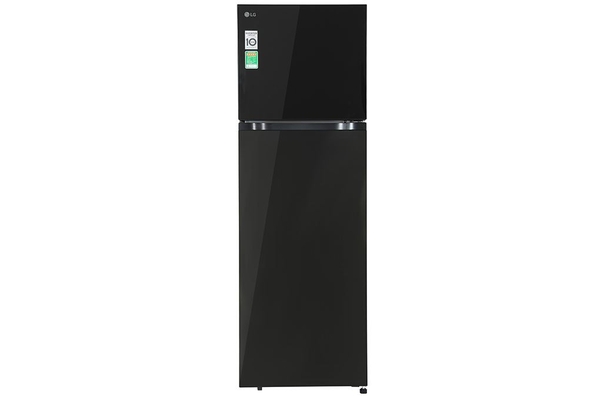 Tủ Lạnh LG Inverter 266 Lít T26BG