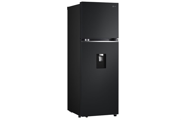 Tủ lạnh LG Inverter 334 lít LTD33BLM - ảnh 2