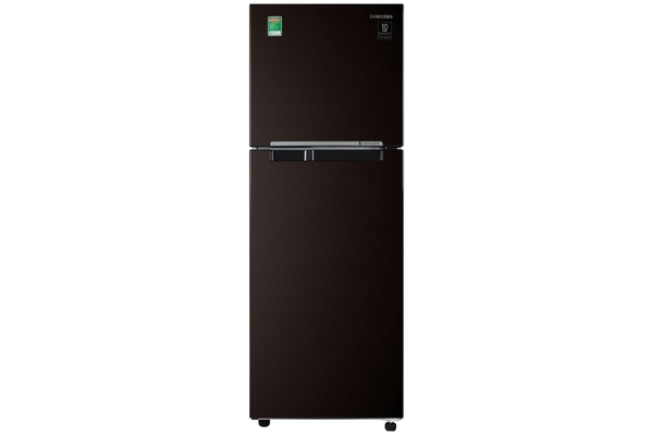 Tủ lạnh Samsung Inverter 236 lít RT22M4032BY/SV - ảnh 1