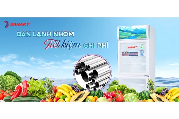 Tủ mát Sanaky 200 lít VH-258WL