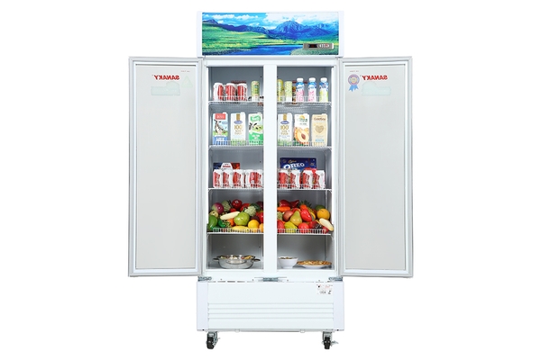 Tủ mát Sanaky 700 lít VH-8009HP - ảnh 1