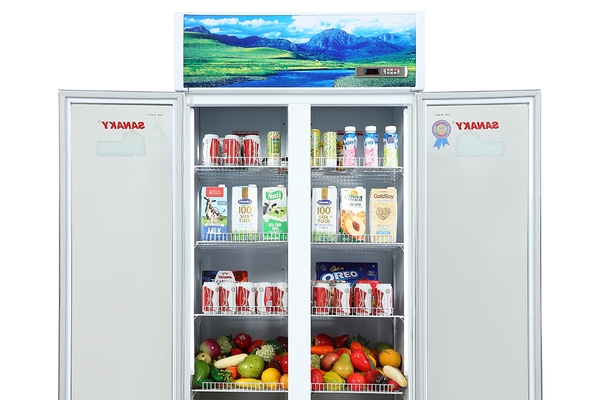 Tủ mát Sanaky 700 lít VH-8009HP - ảnh 4