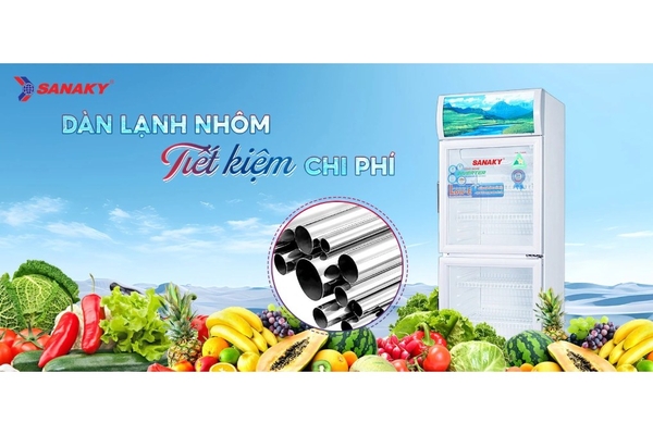 Tủ mát Sanaky Inverter 200 lít VH-258W3L