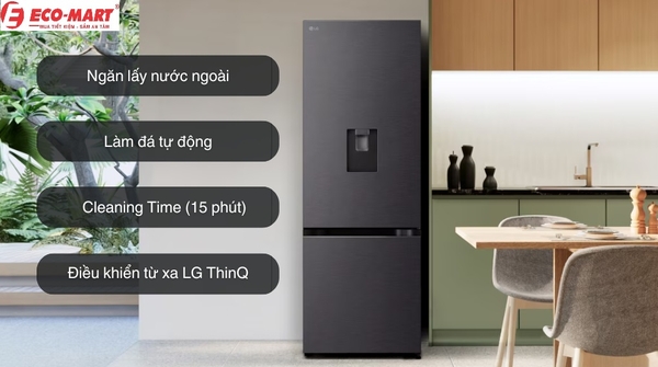Có nên mua tủ lạnh LG LBD33BLMA Inverter 332 lít? Và 6 điểm cần lưu ý