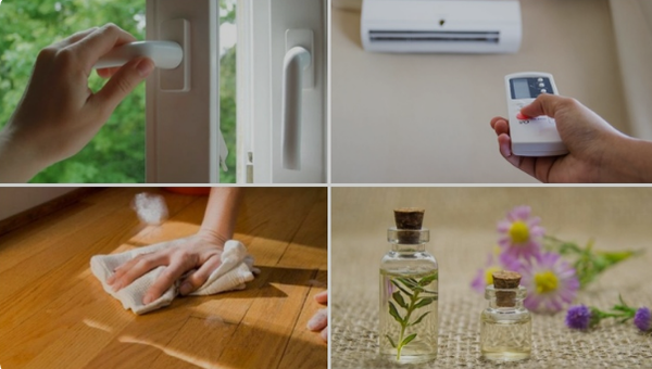 TOP 5 Cách Chống Ẩm Hiệu Quả Trong Nhà Làm Đơn GIẢN Ai Cũng Cần