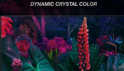 Công nghệ Dynamic Crystal Color: Bước tiến đột phá của Samsung trong công nghệ hiển thị hình ảnh