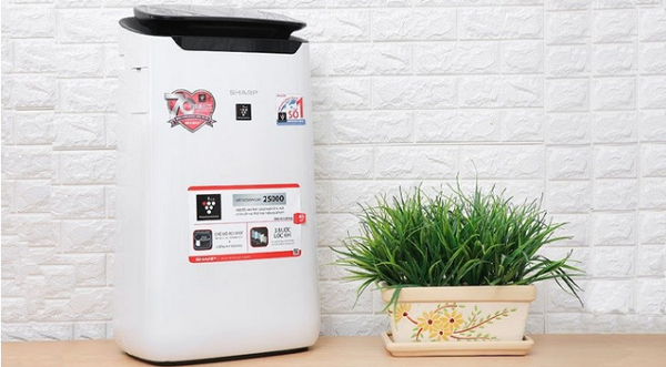 Xem ngay kinh nghiệm hữu ích trước khi quyết định chọn mua máy lọc không khí