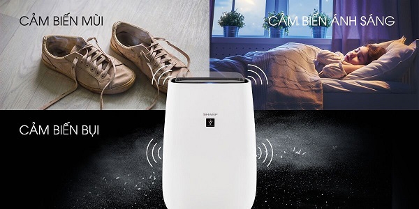 Có cần sử dụng máy lọc không khí trong phòng ngủ hay không? Tại sao?