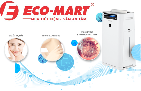 Máy hút ẩm và độ ẩm tốt cho sức khỏe của chúng ta như thế nào?