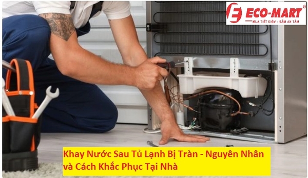 Khay Nước Sau Tủ Lạnh Bị Tràn - Nguyên Nhân và Cách Khắc Phục Tại Nhà