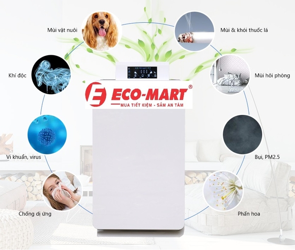 Máy lọc không khí là gì? Tại sao lại cần có trong mỗi gia đình?