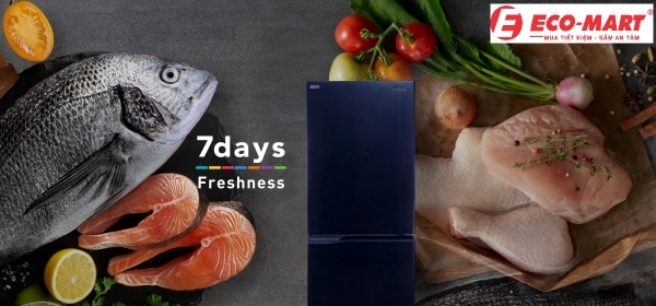 Đánh giá: Tủ lạnh Panasonic NR-SP275CPAV 251 lít trong tầm giá 8 Triệu