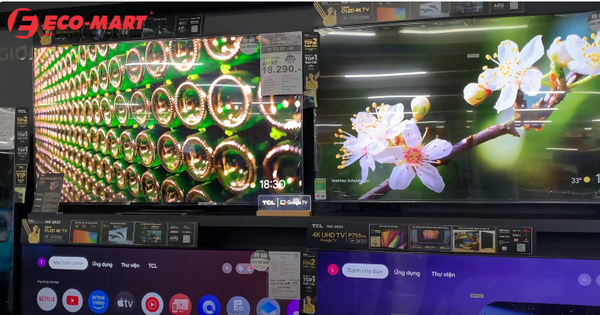 Video Top 3 Tivi 65 inch 4K giá tốt : Đánh giá P755 C645 & C845 bán nhiều năm 2024