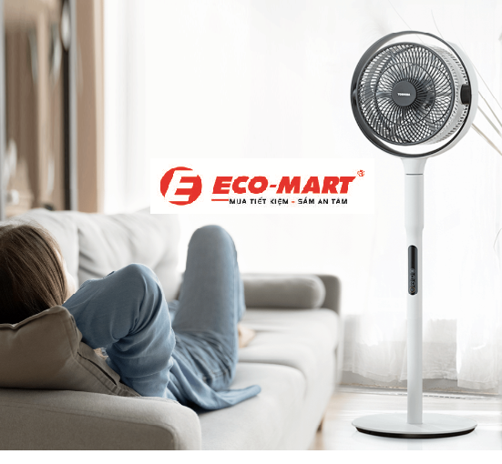 Quạt tuần hoàn Toshiba F-DSC80XVN(W) có gì đặc biệt?