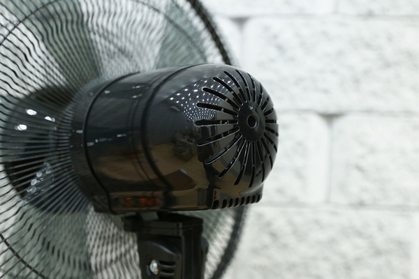 Quạt cây Midea FS40-15QR 5 cánh 55W màu đen