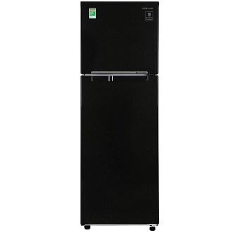 Tủ lạnh Samsung RT25M4032BU/SV Inverter 256 lít