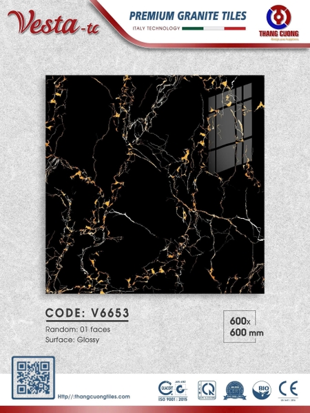 v6653