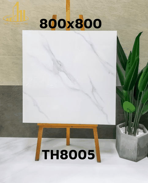 th8005