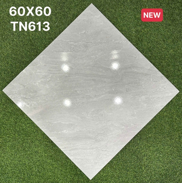 tn613