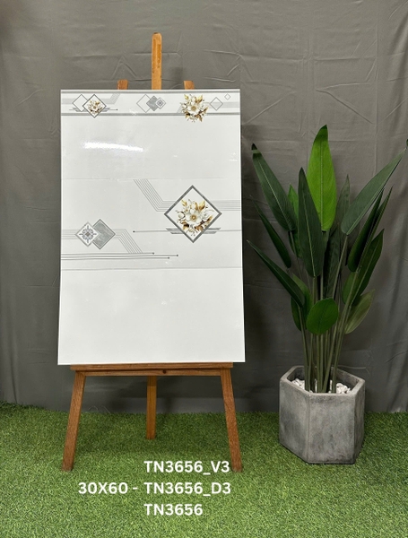 tn3656-v3
