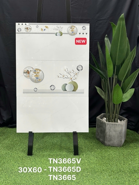 tn3665-v