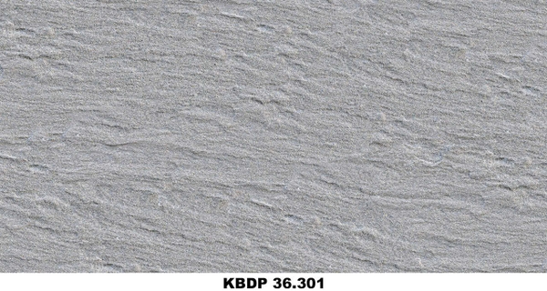 kbdp-36-301