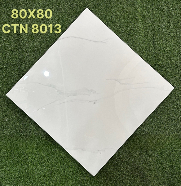 ctn8013