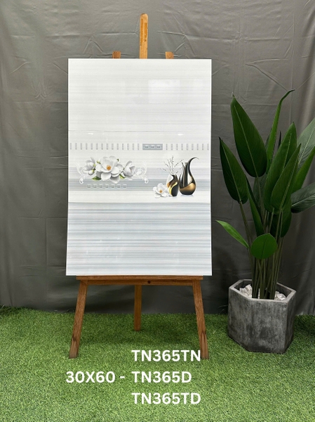 tn365