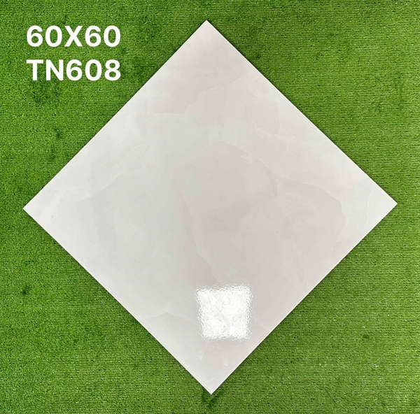 tn608