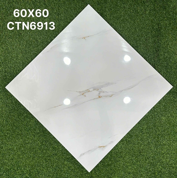 ctn6913