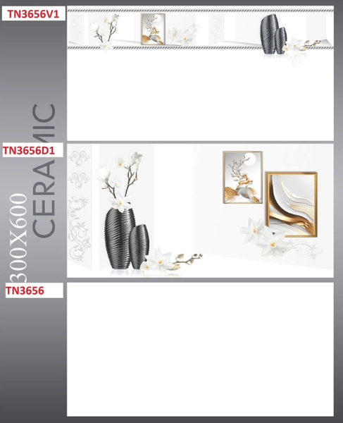 tn3656v4