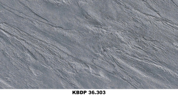 kbdp-36-303
