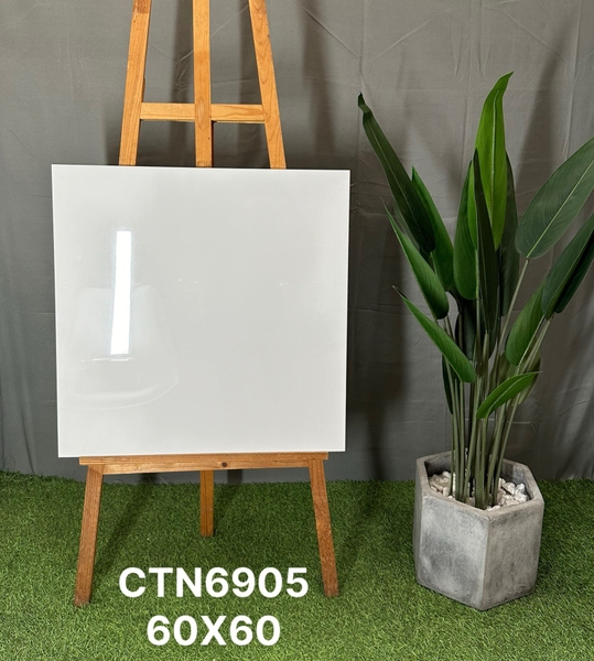 ctn6905
