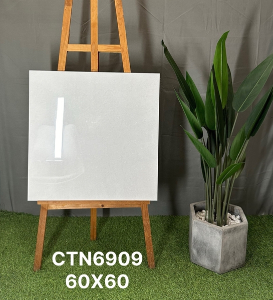 ctn6909