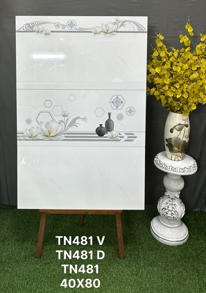tn481-v