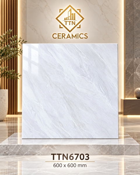 ttn6703