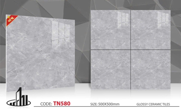 tn580