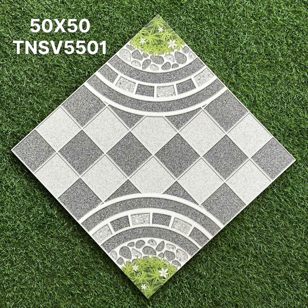 tnsv5501