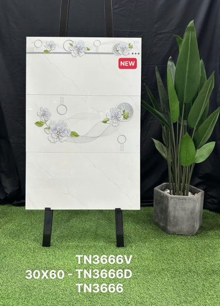 tn3666-v