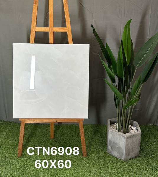 ctn6908