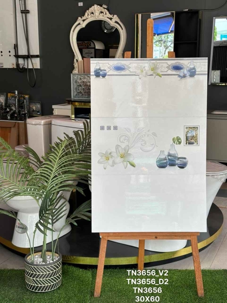 tn3656-v2