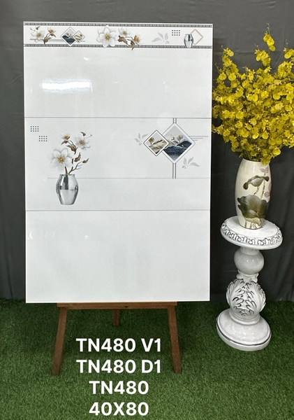 tn480-v1