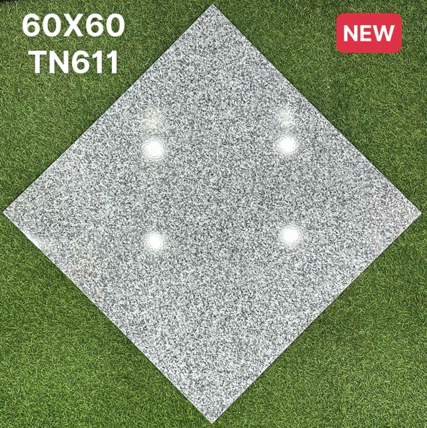 tn611