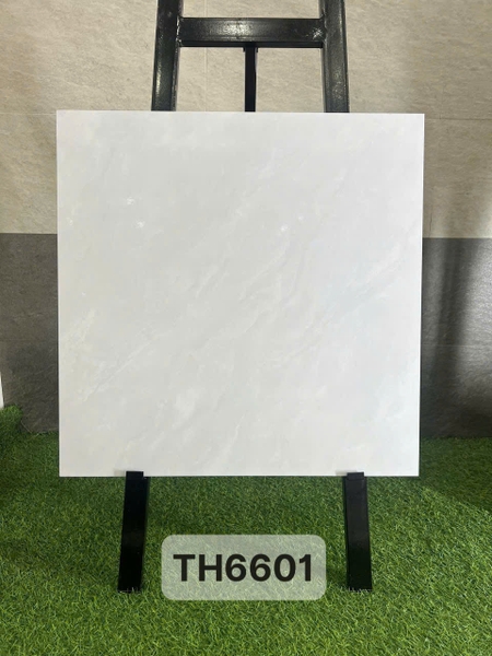 th6601